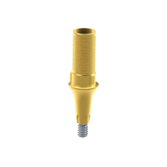 Tibase personnalisable Dentsply® Ankylos®