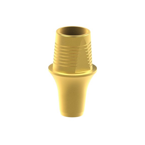 Tibase personnalisable Dentsply® Ankylos®