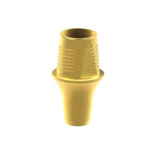 Tibase personnalisable Dentsply® Ankylos®