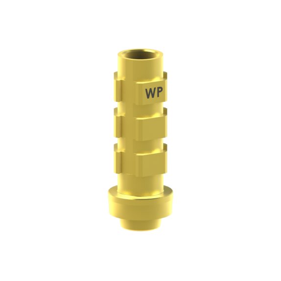 Pilier provisoire/Tranfert Camlog® Camlog® System