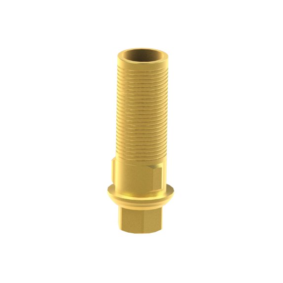 Tibase personnalisable BioHorizons® Tapered Internal®