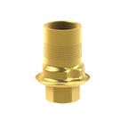 Autres produits BioHorizons® Tapered Internal® - TiBase