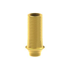 Tibase personnalisable BioHorizons® Tapered Internal®