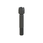 Vis Titane Osstem Implant® TSIII