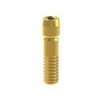 Vis Titane Osstem Implant® TSIII