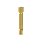 Vis titane Neodent® Gran Morse® GM
