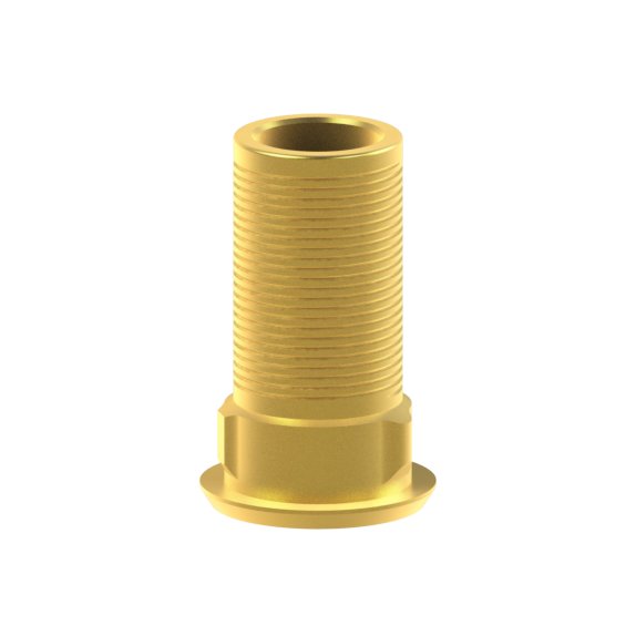 Tibase personnalisable Neodent® GM Abutment