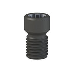 Vis titane Neodent® GM Abutment