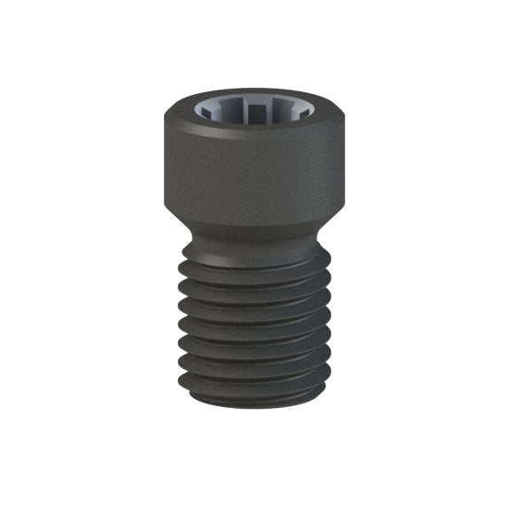 Vis titane Neodent® GM Abutment