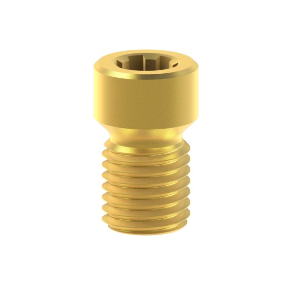 Vis titane Neodent® GM Abutment