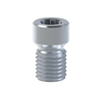 Vis titane Neodent® GM Abutment
