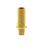 Tibase personnalisable Megagen® AnyRidge®