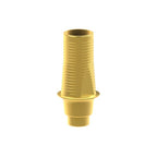 Tibase personnalisable Megagen® AnyRidge®